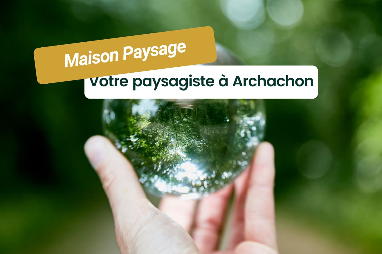 Pourquoi Maison Paysage - Paysagiste Arcachon