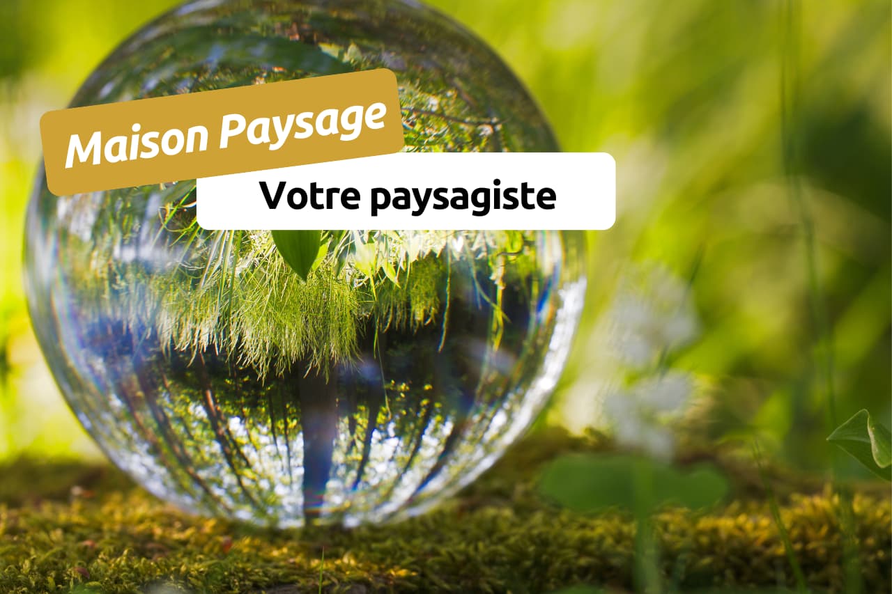 Maison Paysage - Votre paysagiste